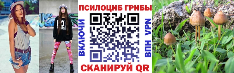 купить наркоту  Катайск  Галлюциногенные грибы Cubensis 